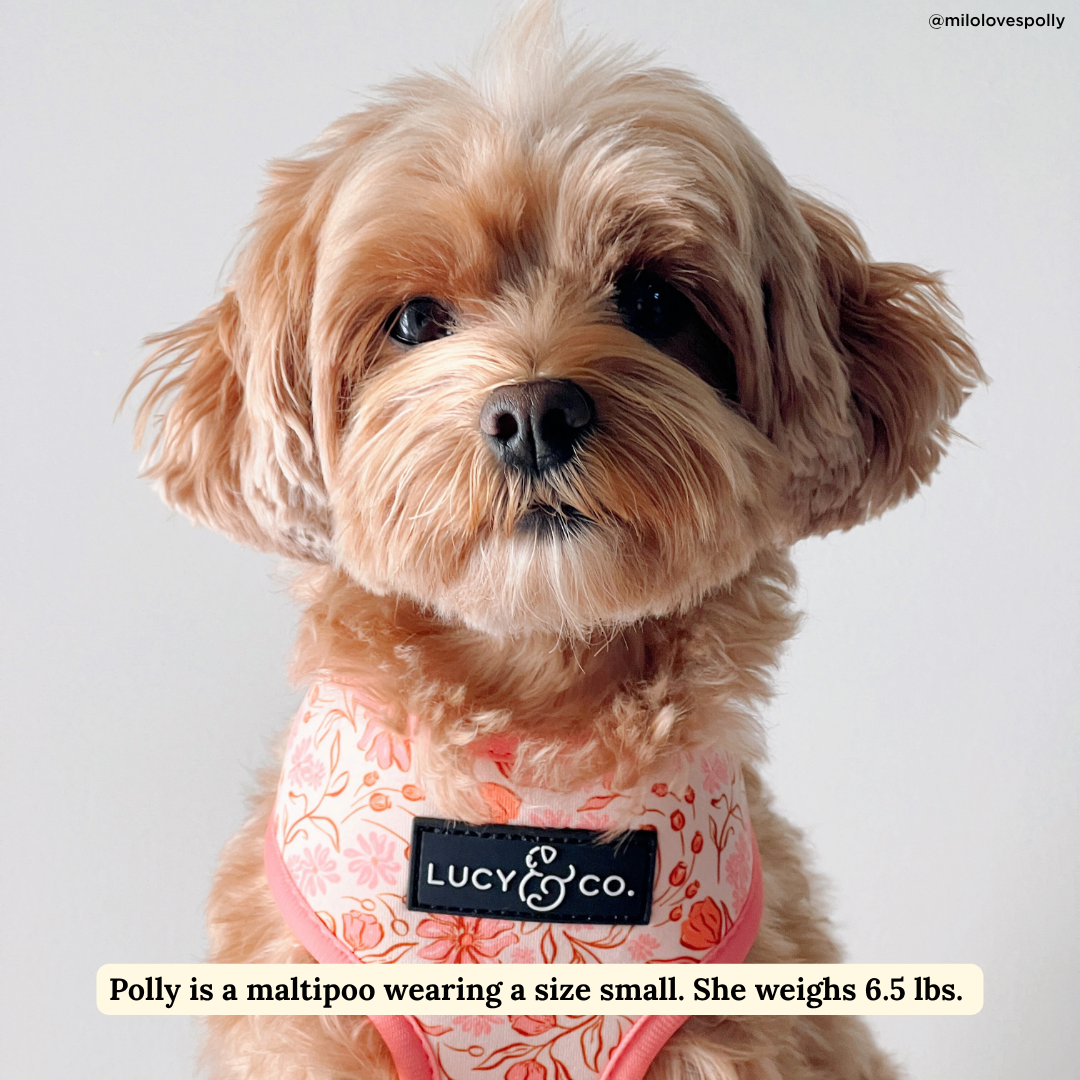 Woodland Wildflowers Reversible Harness