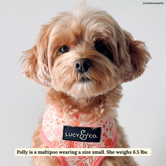 Woodland Wildflowers Reversible Harness