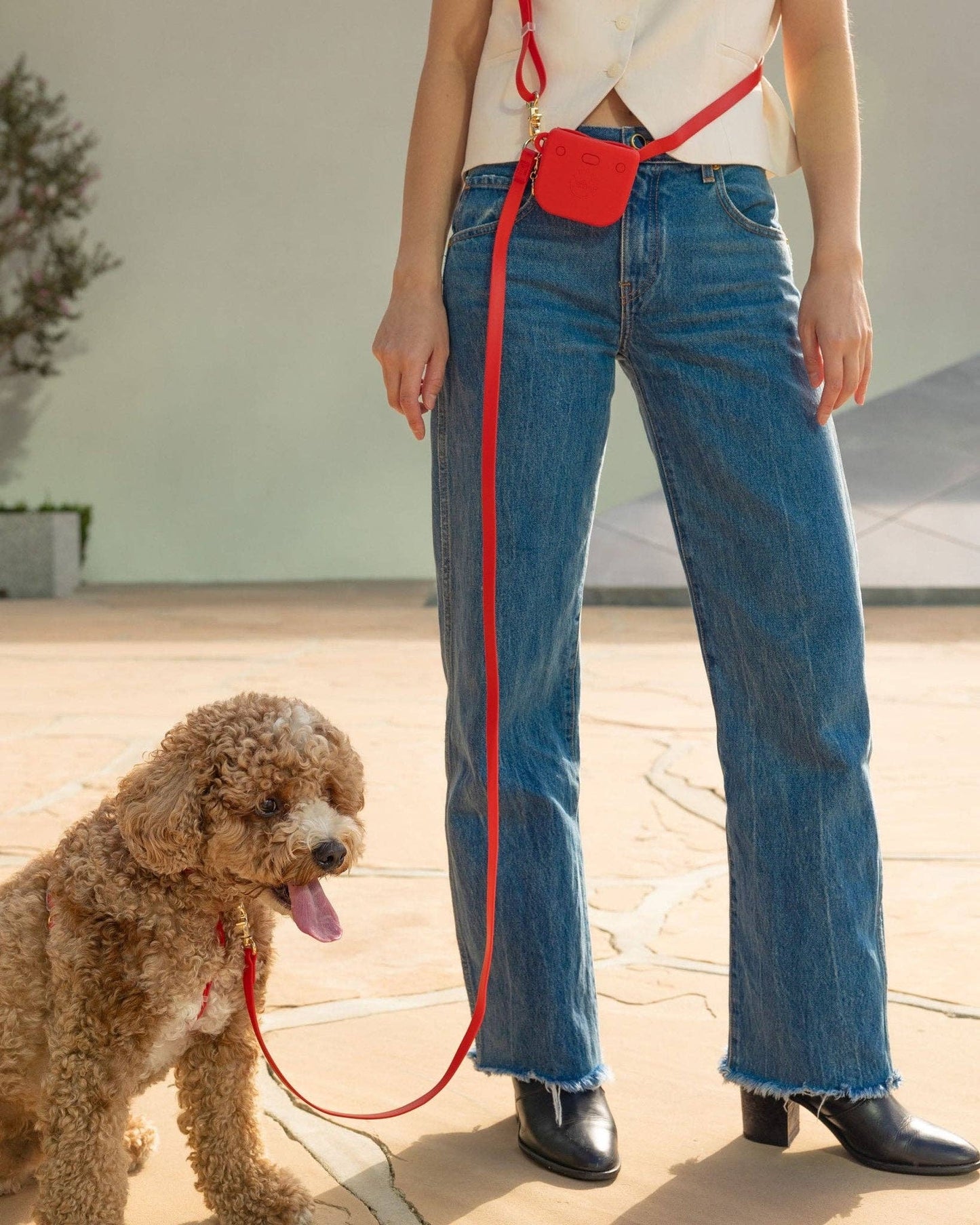 Cherry Red Cloud Lite Dog Harness