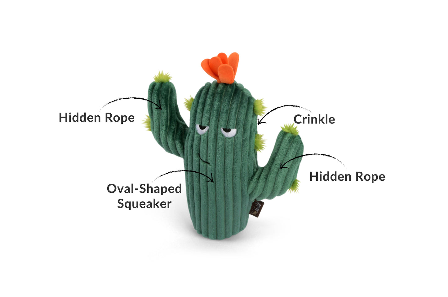 Prickly Pup Cactus