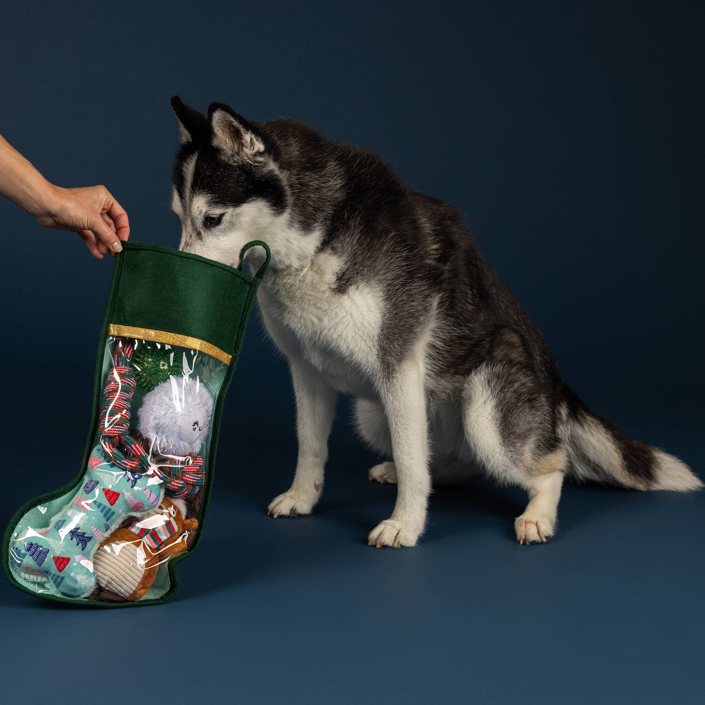 5 PC PAWLIDAY STOCKING