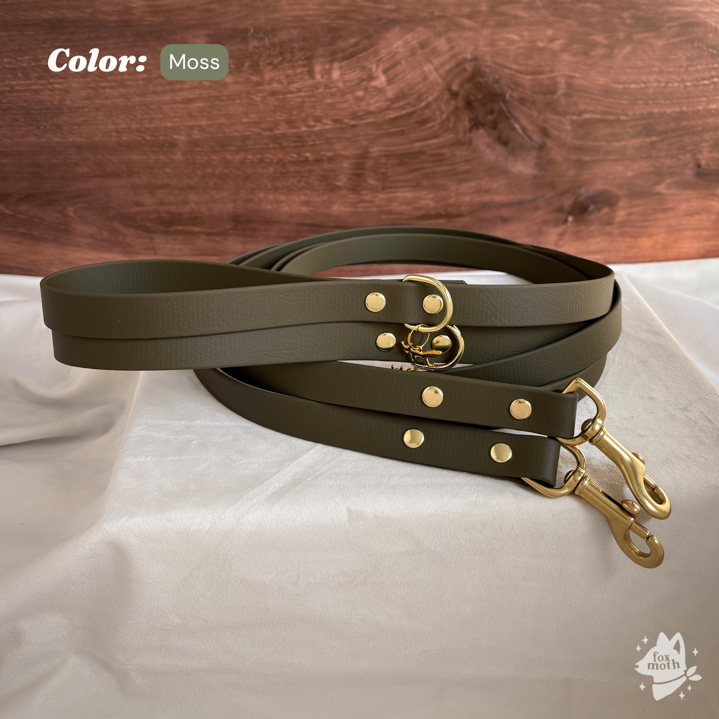 Sienna Biothane Leash