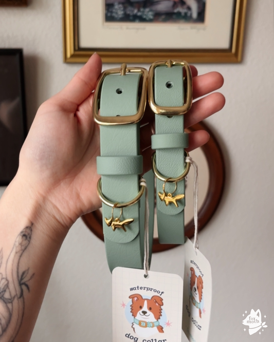 Sage Biothane Collar