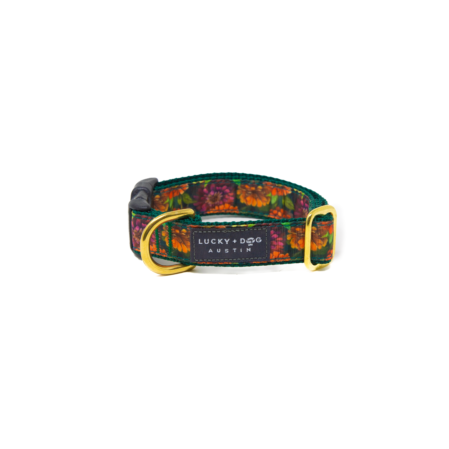 Zinnia Zest Dog Collar