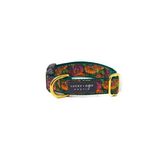 Zinnia Zest Dog Collar