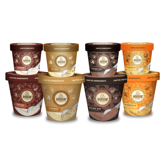 Hoggin' Dogs Ice Cream Mix: Pumpkin