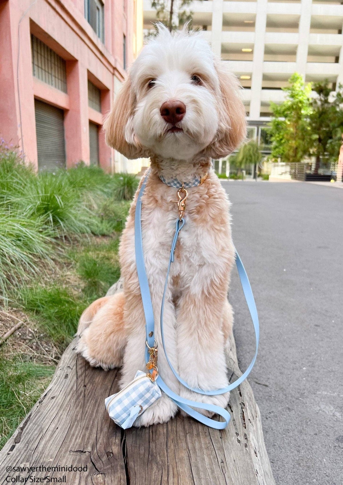 Malibu Blue Waterproof Cloud Dog Leash