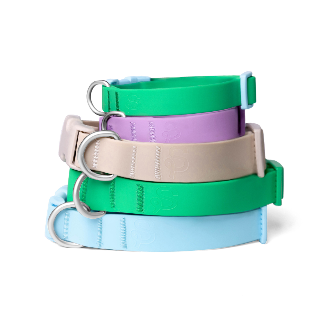 Waterproof & Adjustable Dog Collar (Mixed 5 Pack)