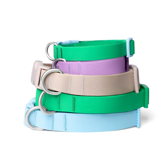 Waterproof & Adjustable Dog Collar (Mixed 5 Pack)