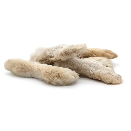 Rabbit Foot