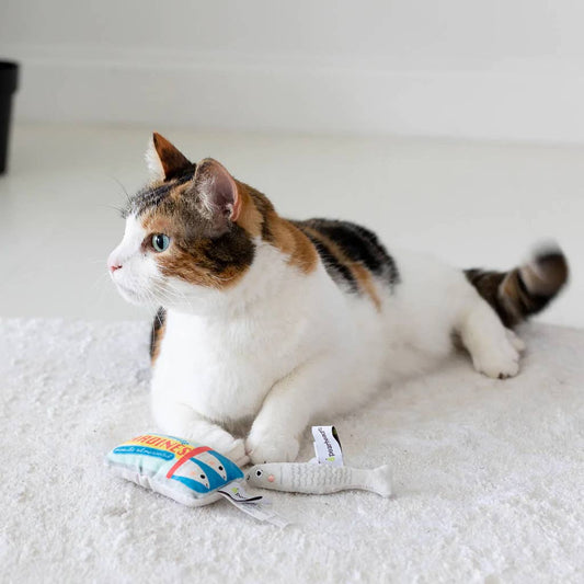 Sardine Cat Toy Set