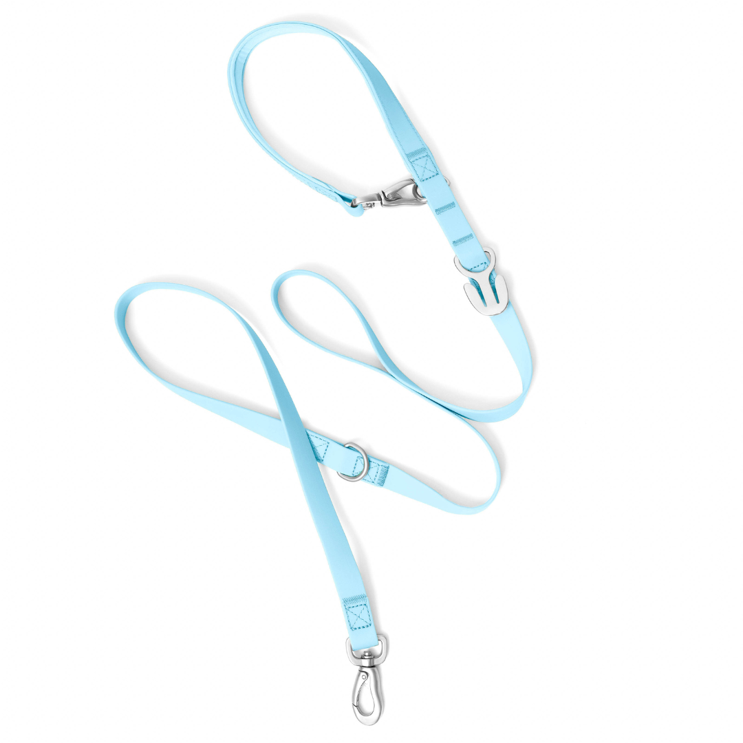 Premium Waterproof 5ft Dog Leash Padded (Mixed 5 Pack)