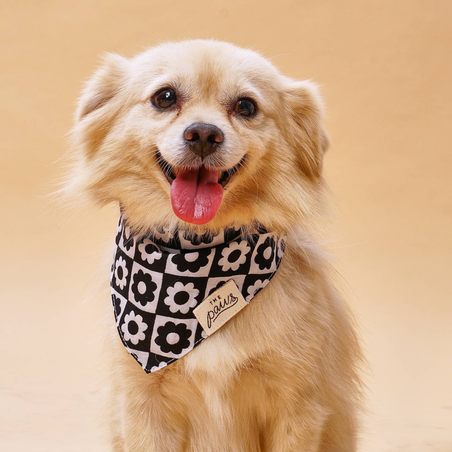 Flower Dog Bandana