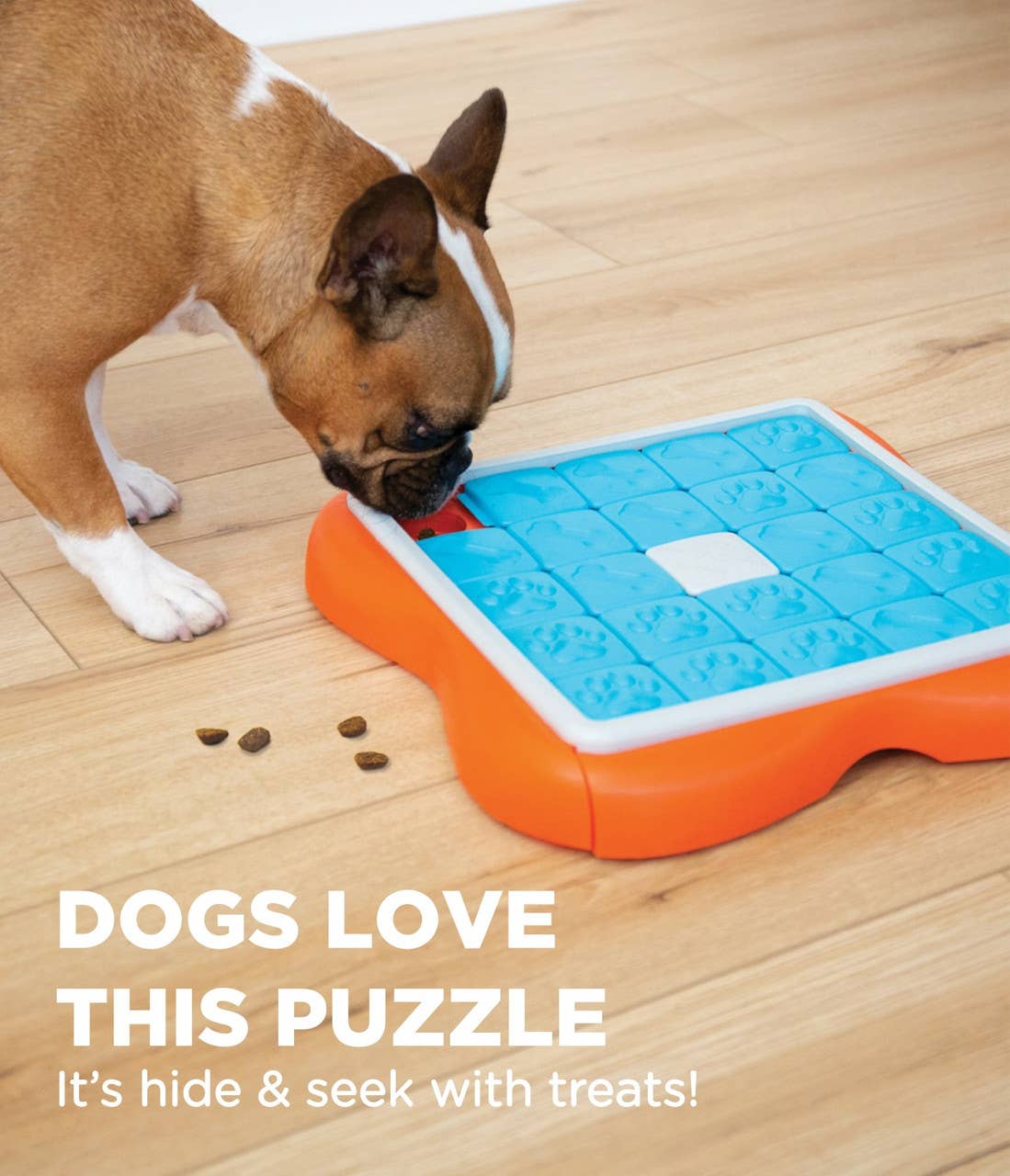 Nina Ottosson Challenge Slider Interactive Treat Dog Puzzle