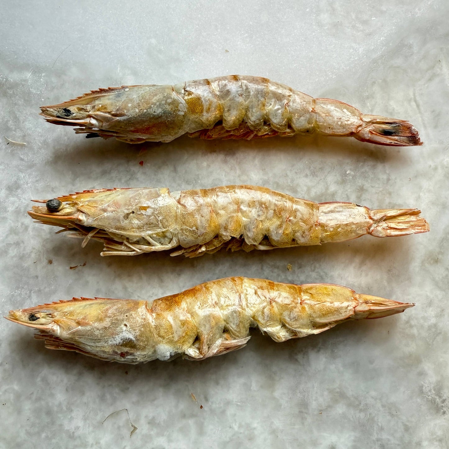 Large Prawns/Shrimp FD