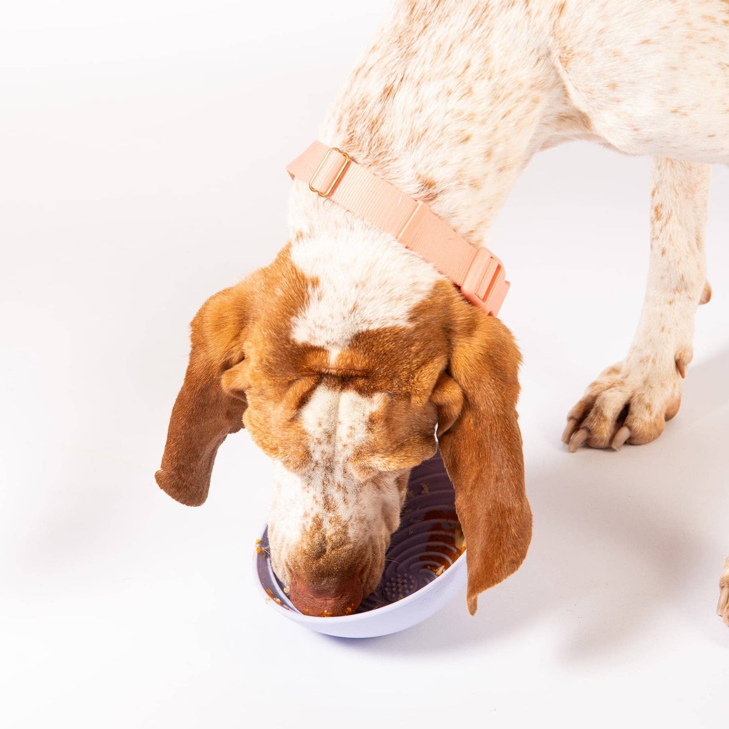 Almond Wobbowl Lick & Slow Feeder Bowl