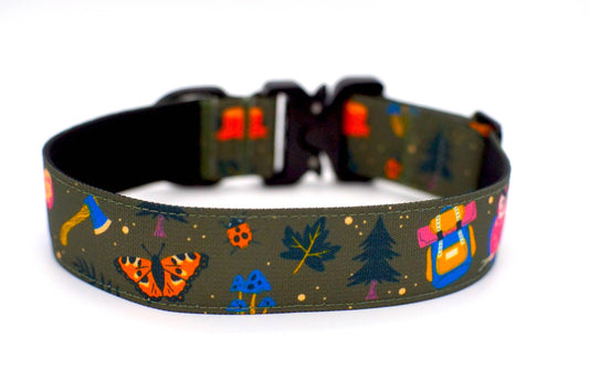 Enchanted Forest Dog Collar