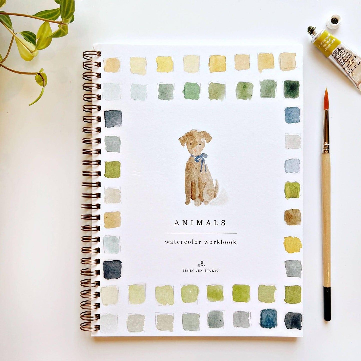 emily lex studio Animals Watercolor Workbook