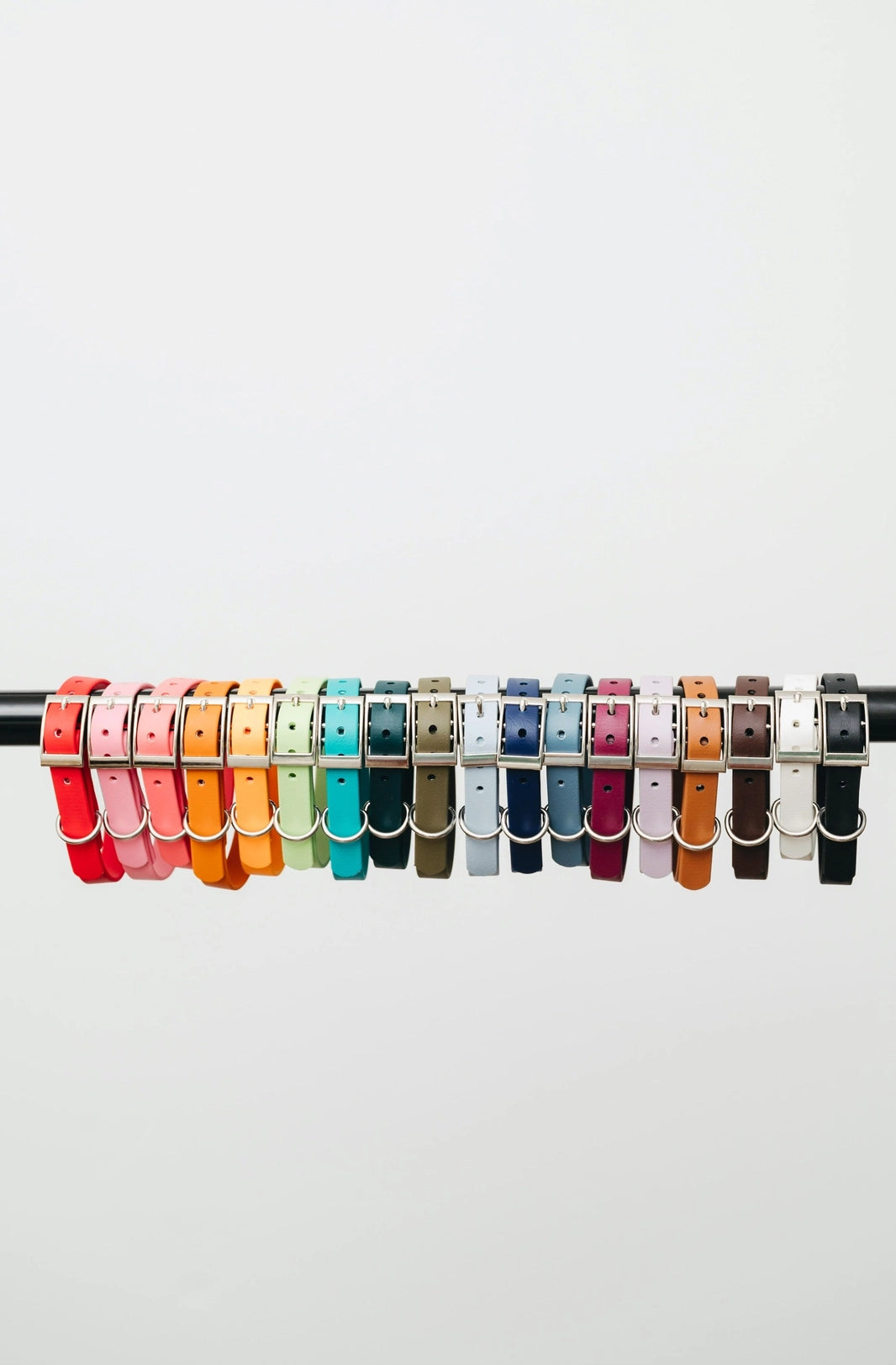 Contigo Dogs 1 inch Biothane Collars in every color