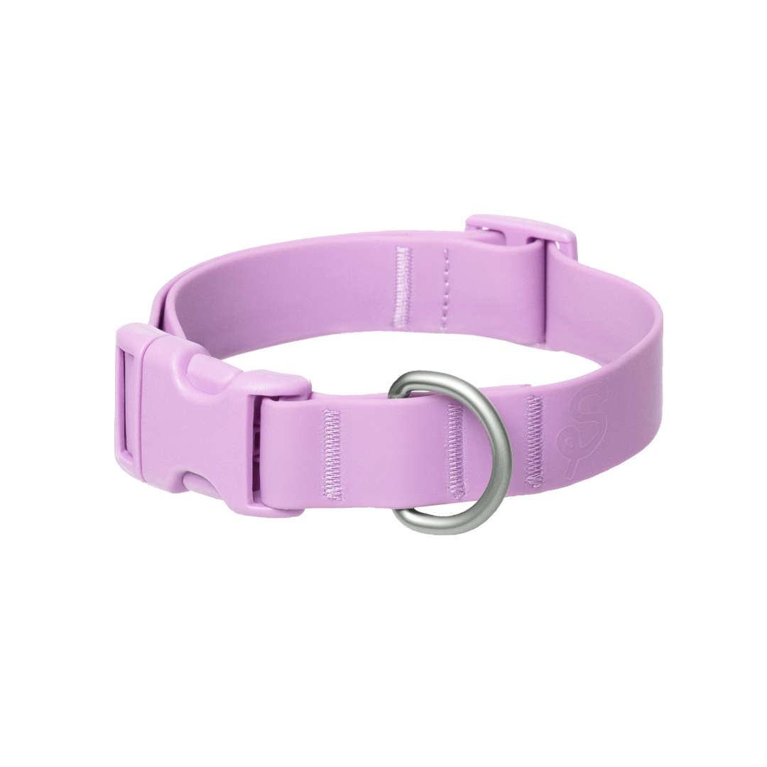 Waterproof & Adjustable Dog Collar (Mixed 5 Pack)