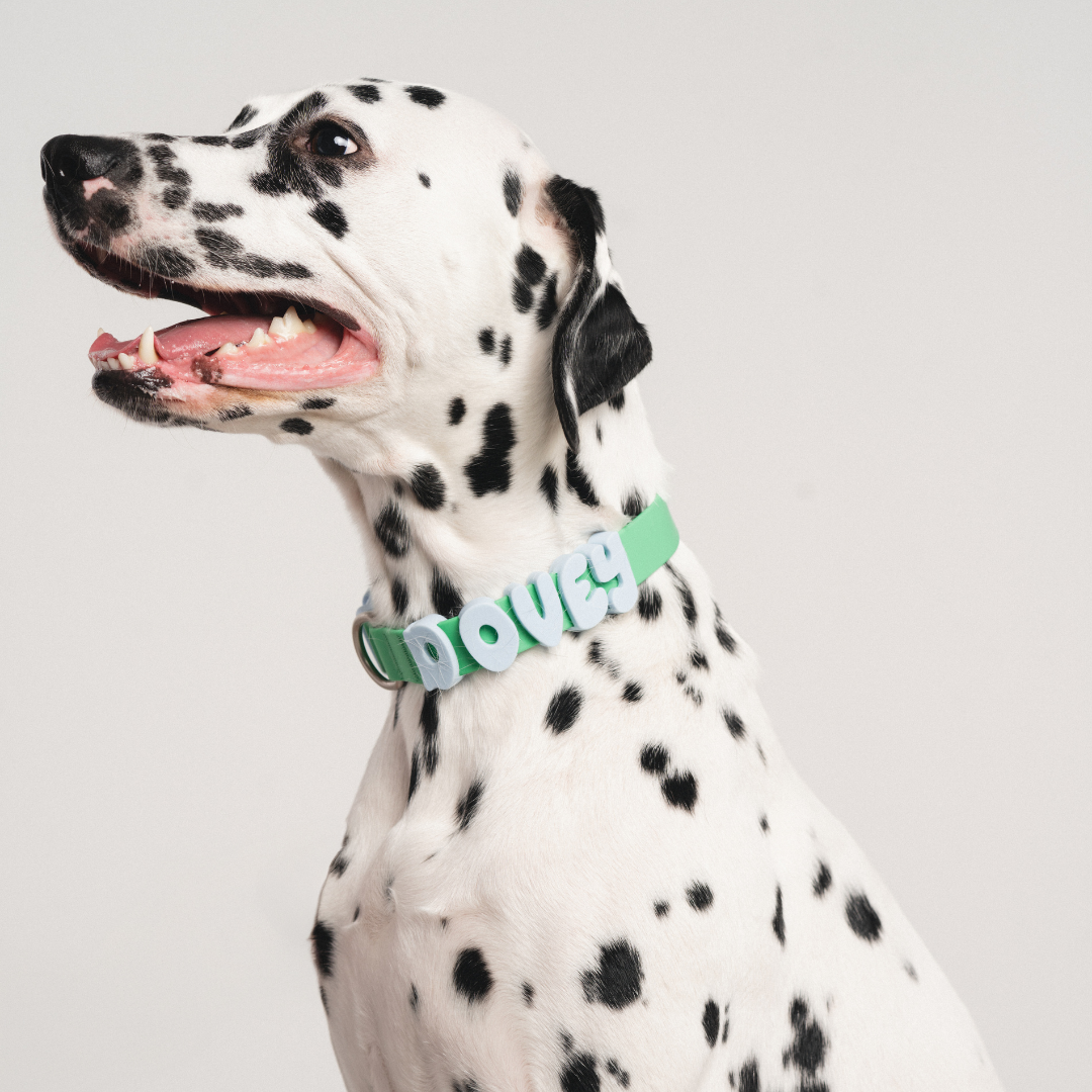 Mixed Dog Charms + Charm Bar