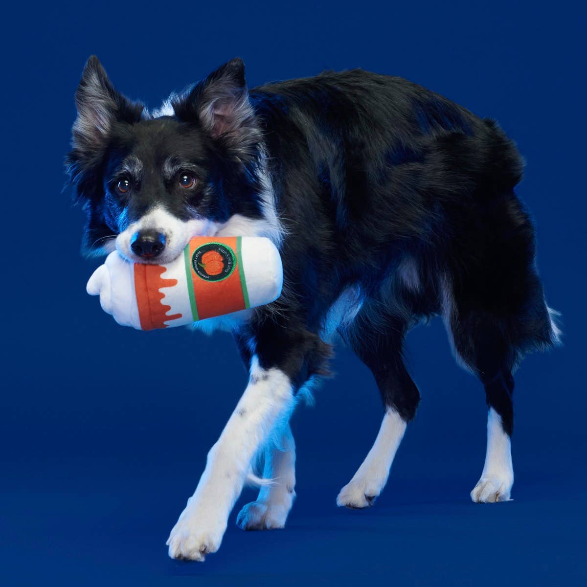 BARK Whipped Pupkin Latte Plush Dog Toy