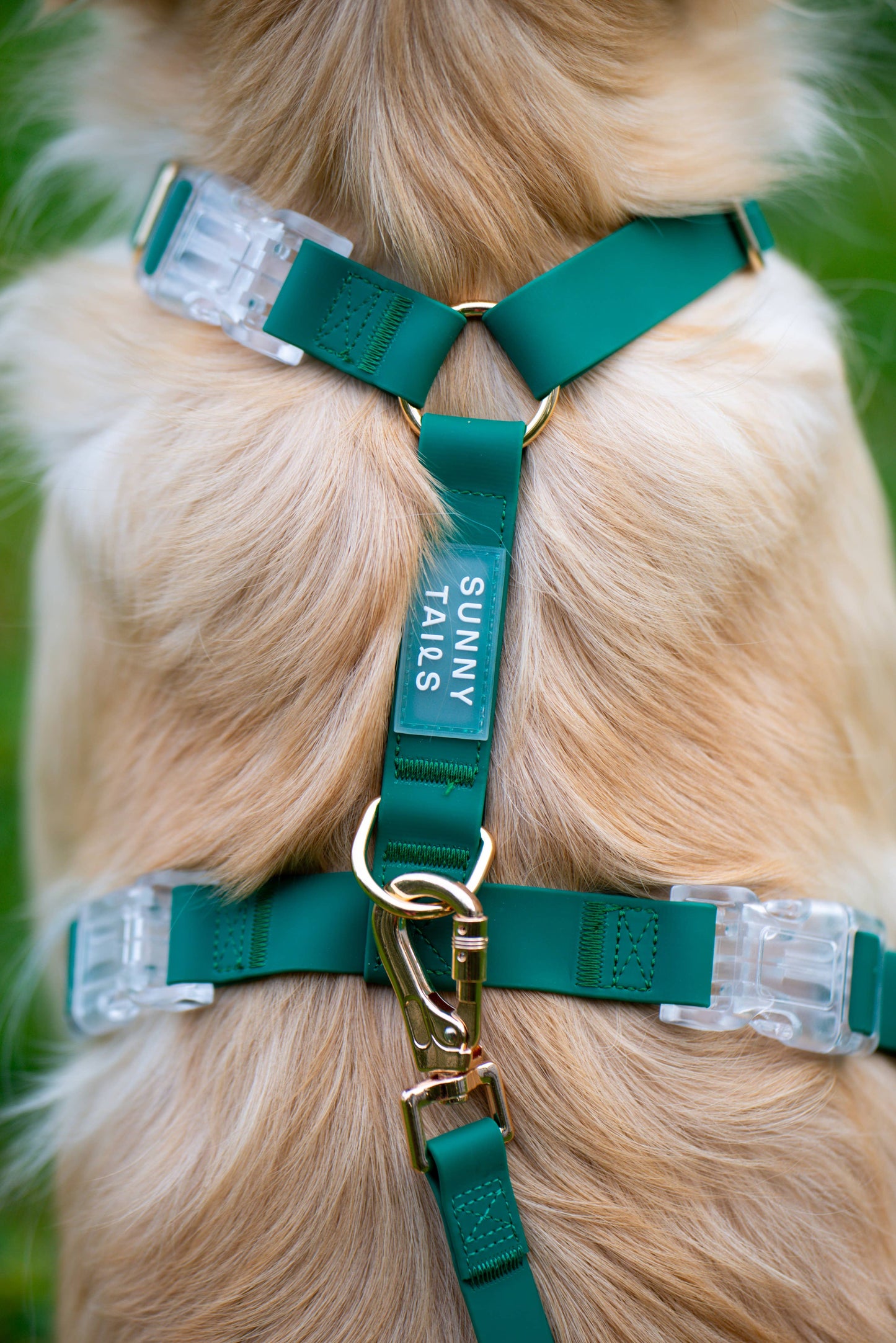 Meadow Green Cloud Lite Dog Harness