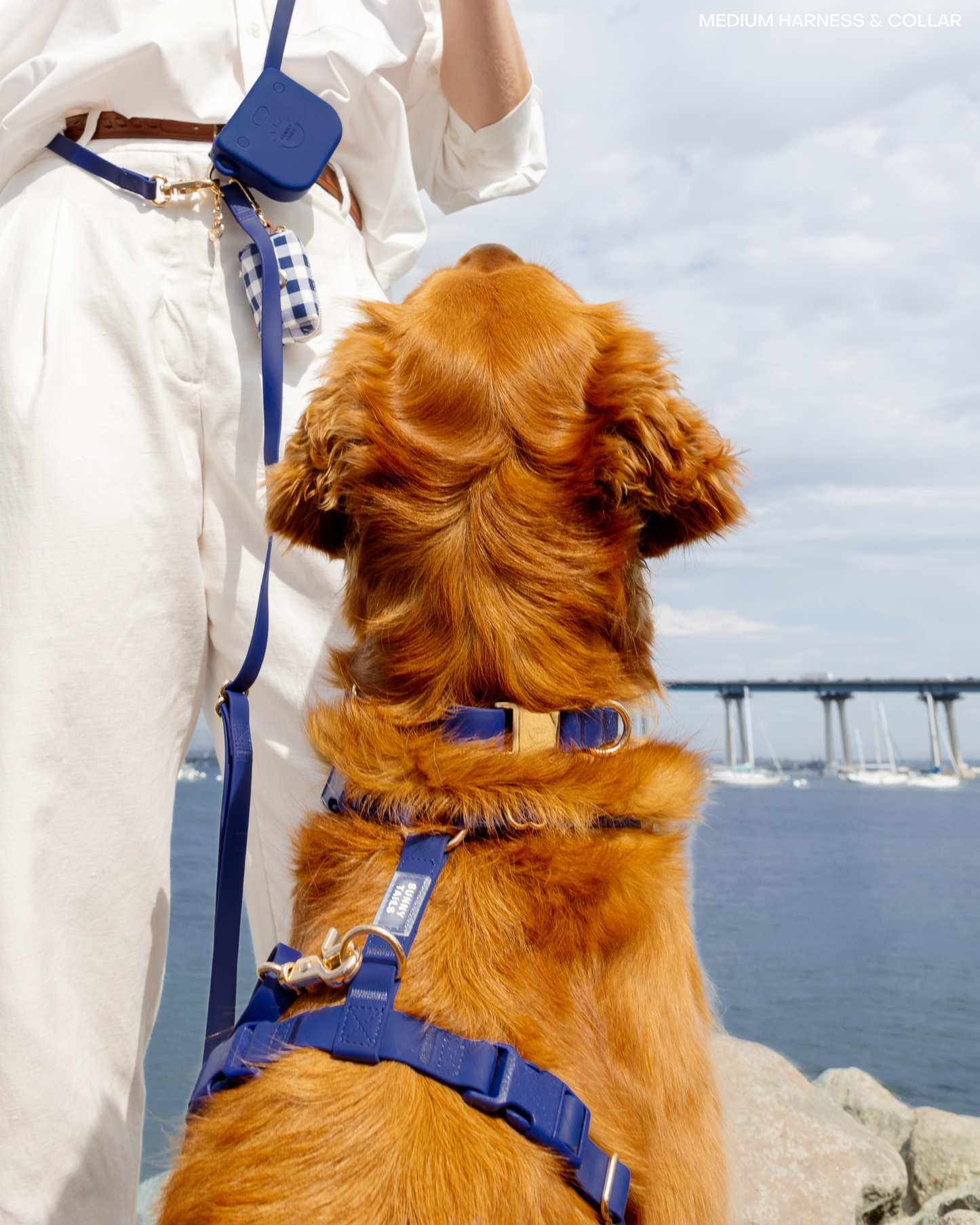 Navy Cloud Lite Dog Harness