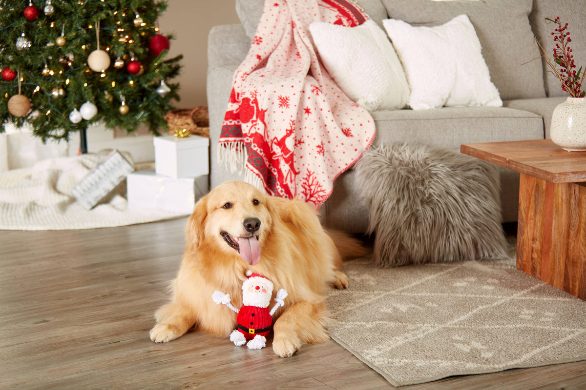 Pearhead Real Santa Claus