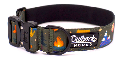 Enchanted Forest Dog Collar