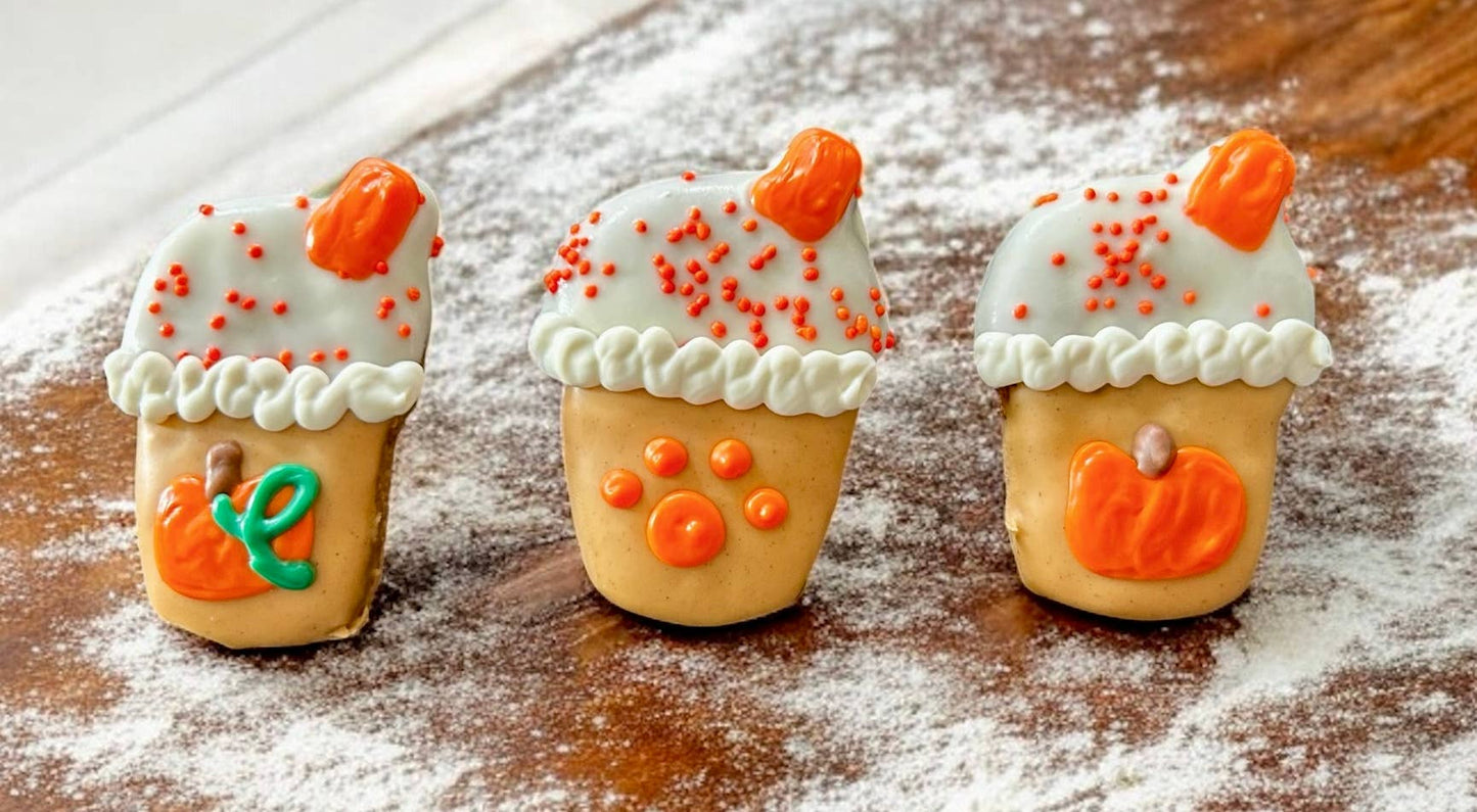 Mini Iced Pupkin Spice Coffee Dog Treat