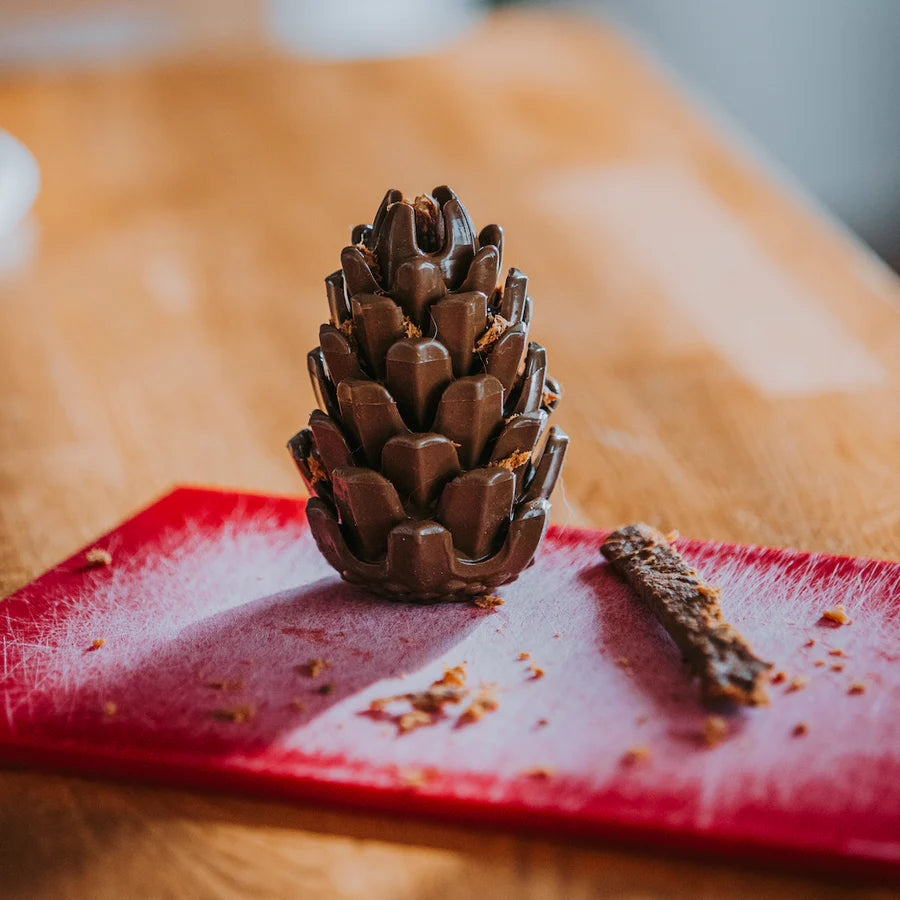 Loblolly Pinecone Puzzle Toy