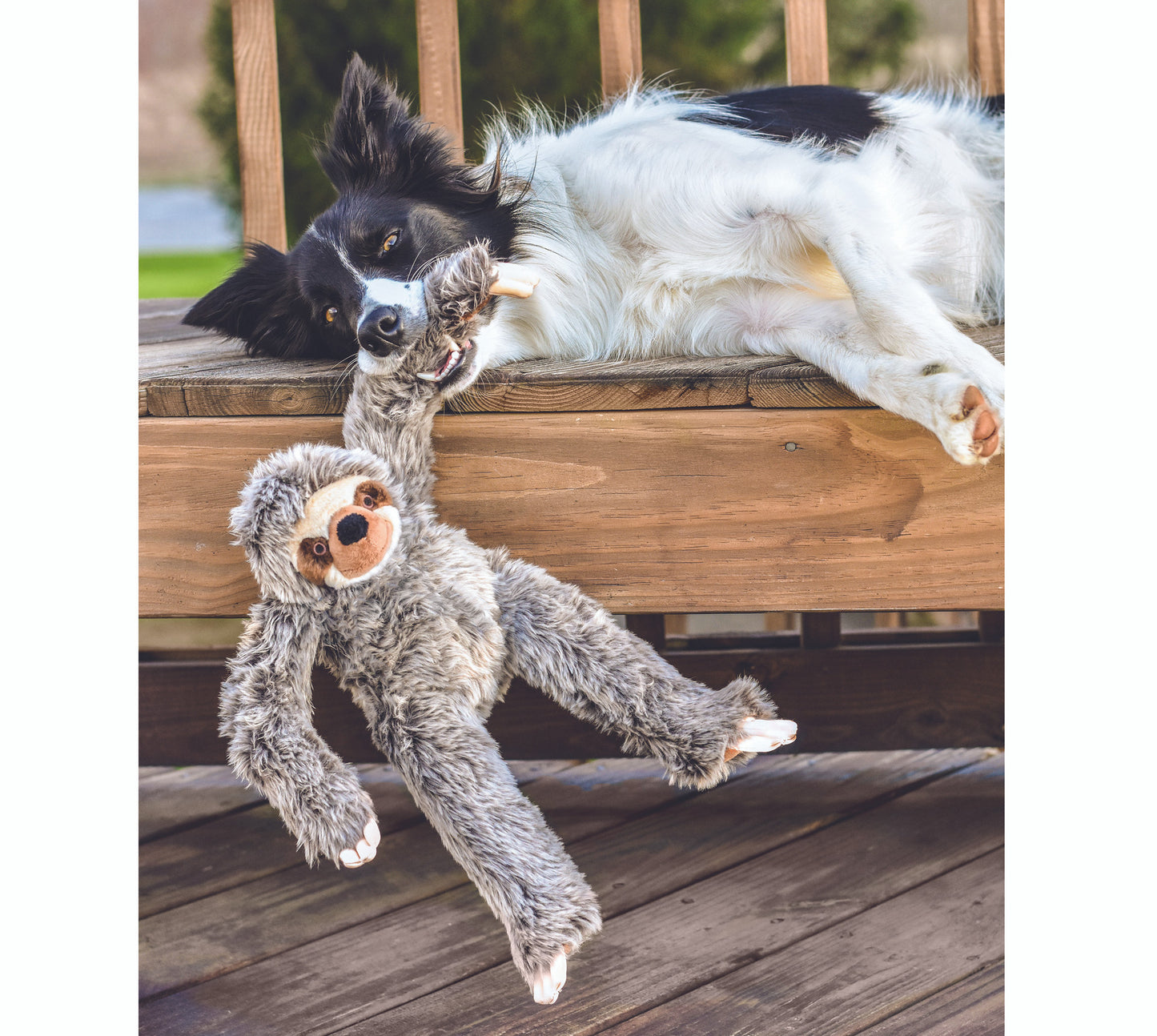 Fluff & Tuff: Tico Sloth