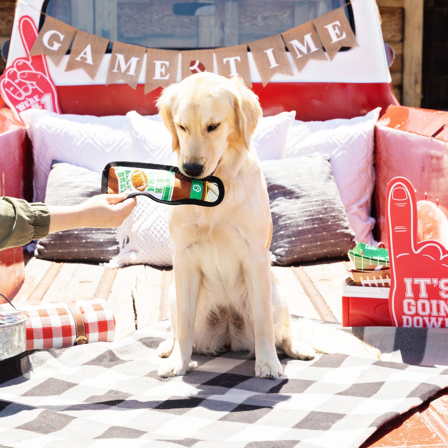TAILGATES AND TOUCHDOWNS DURABLE PLUSH DOG TOY