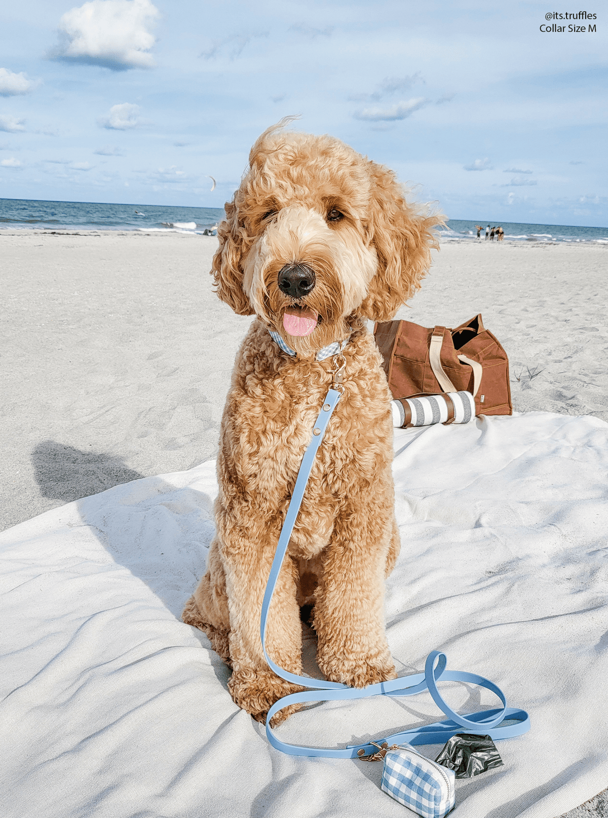 Malibu Blue Waterproof Cloud Dog Leash
