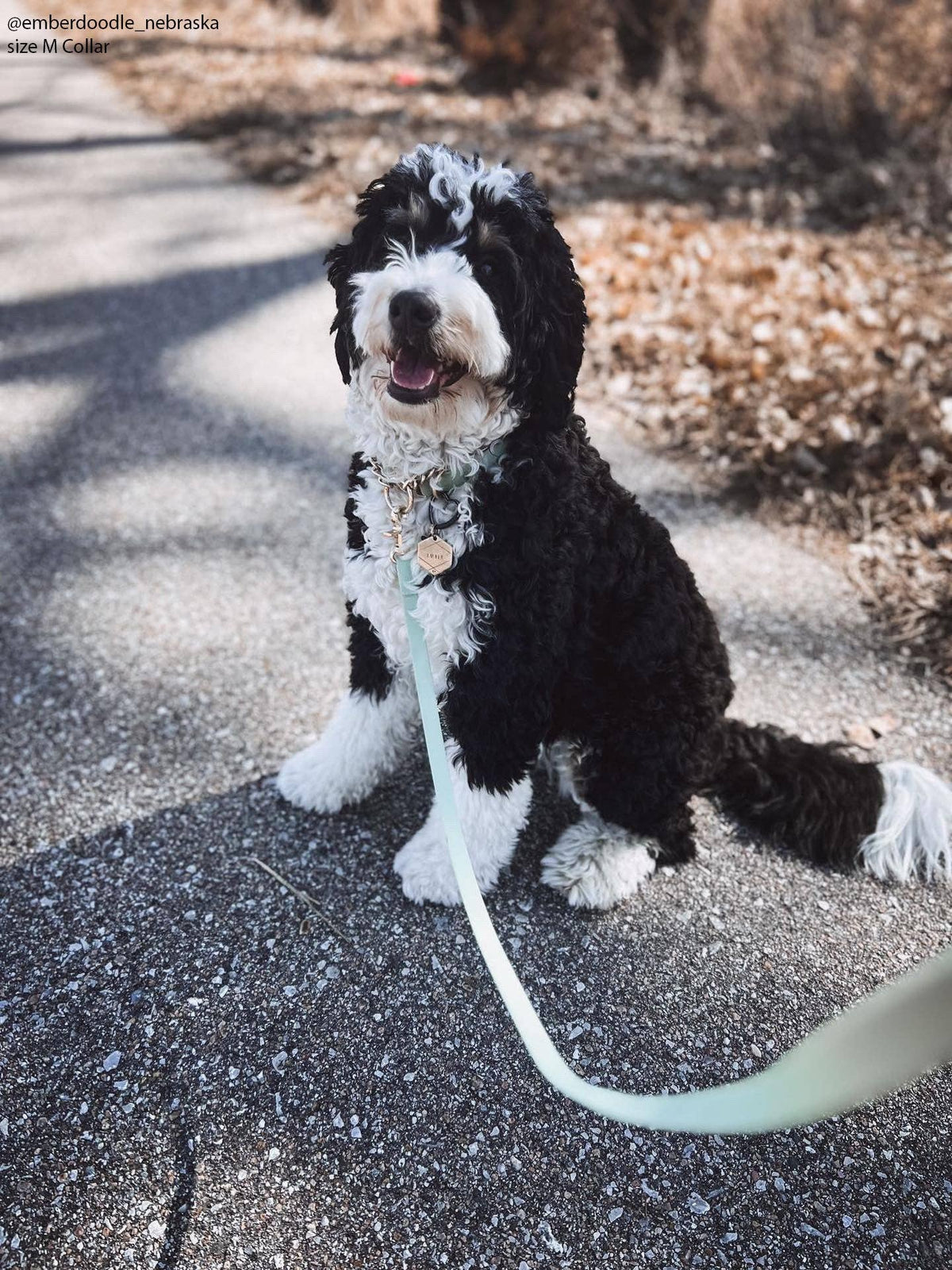 Pistachio Green Waterproof Cloud Dog Leash