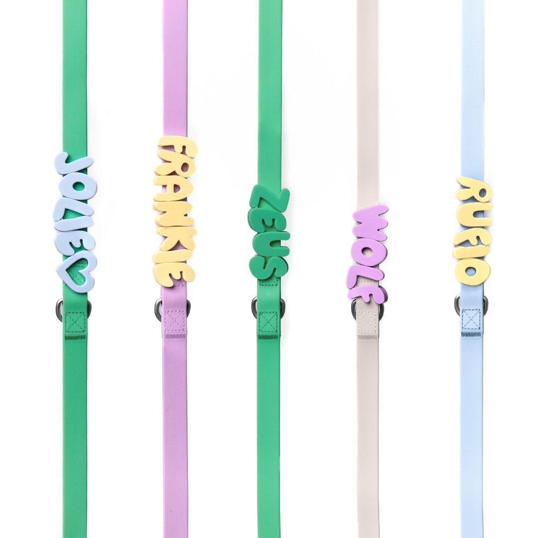 Premium Waterproof 5ft Dog Leash Padded (Mixed 5 Pack)