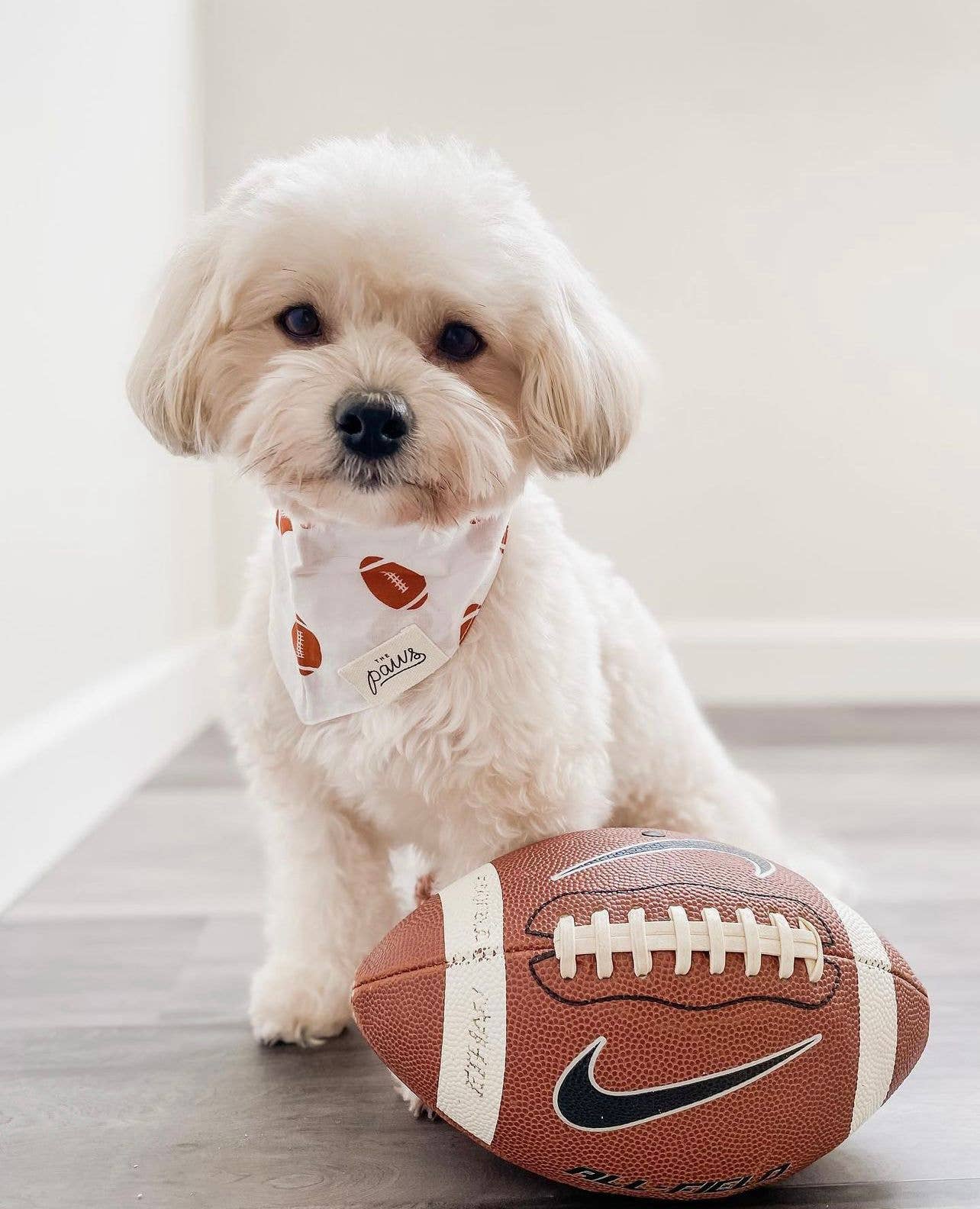 Football Dog Bandana