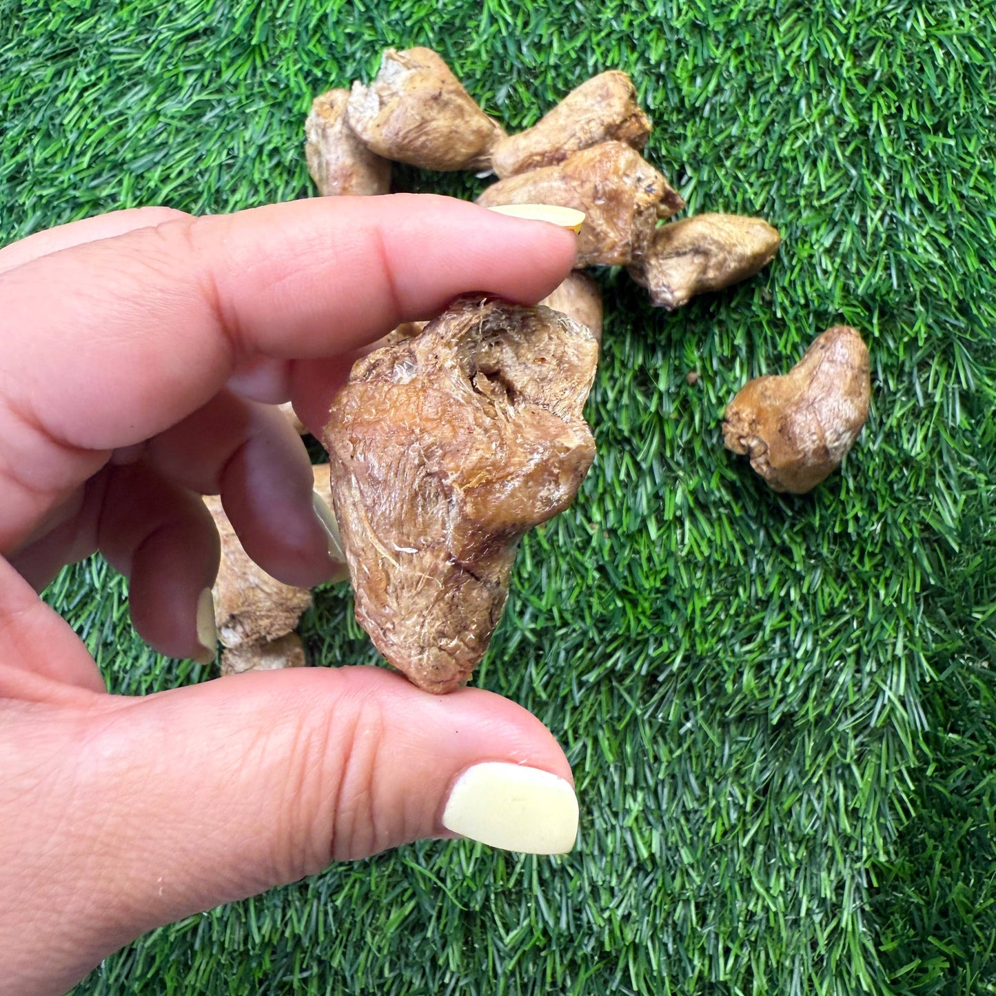 Chicken Hearts 3oz Bag