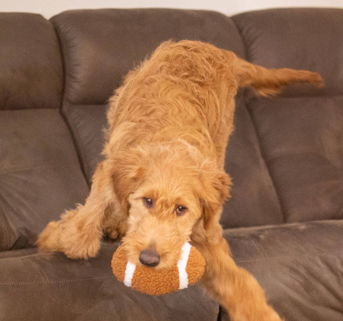 ThoozyPet Football Plush Dog Toy 6.5"