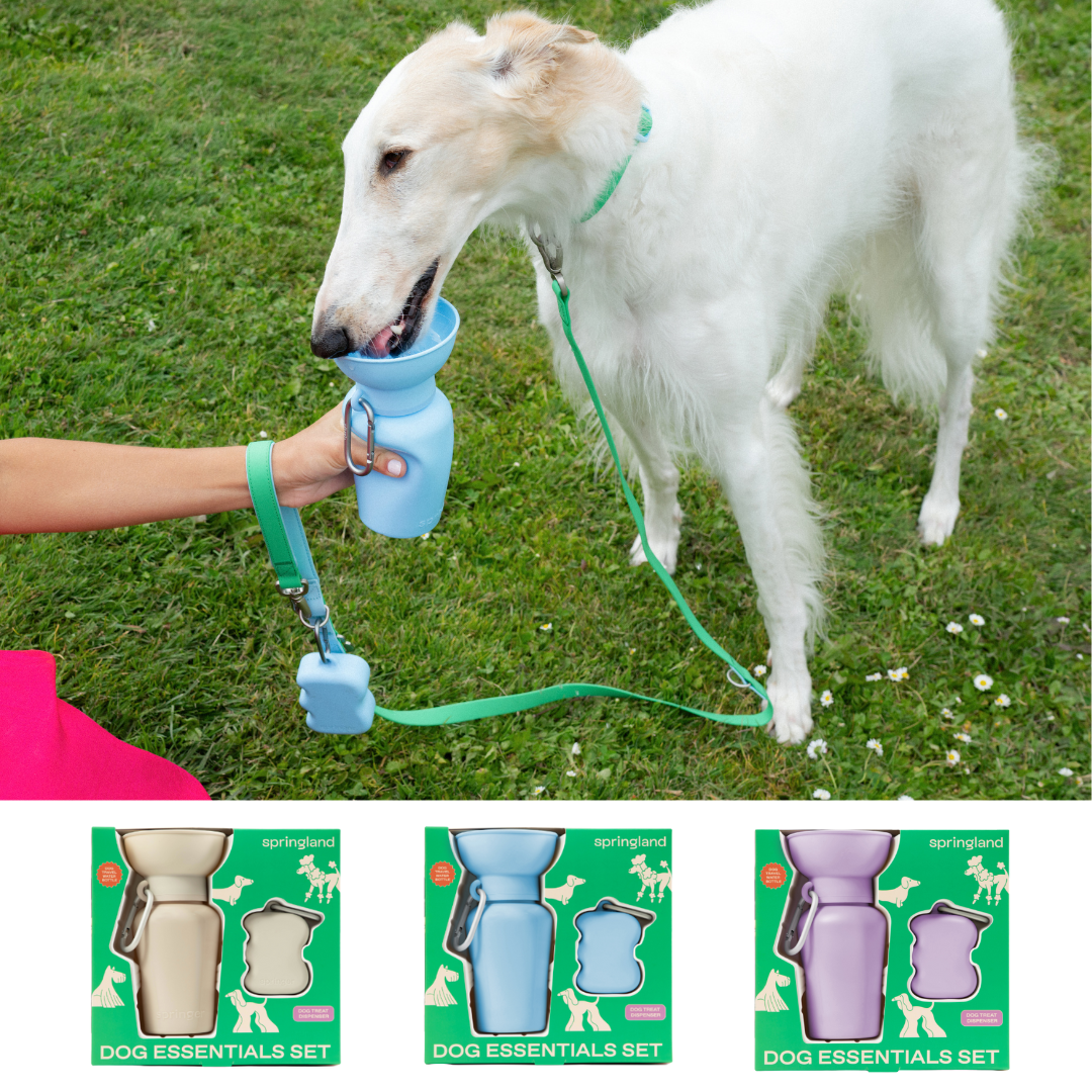 Dog Essentials Gift Box Set, Gift For Dogs (12 Pack)