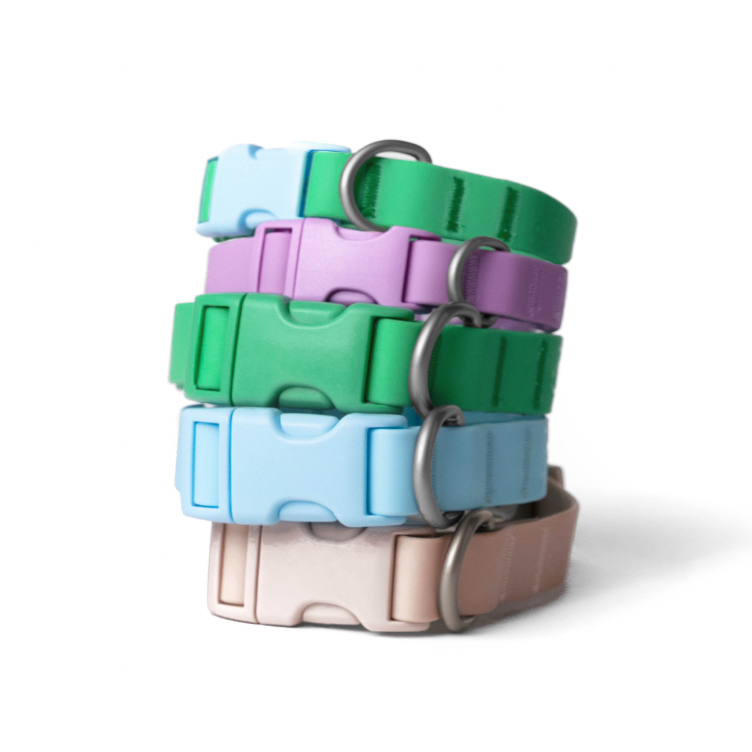 Waterproof & Adjustable Dog Collar (Mixed 5 Pack)