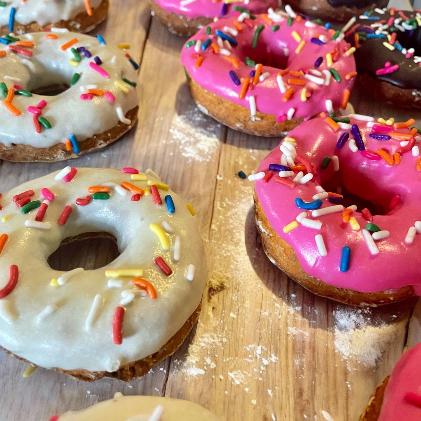 HOMER Classic🍩 Donut Dog treats