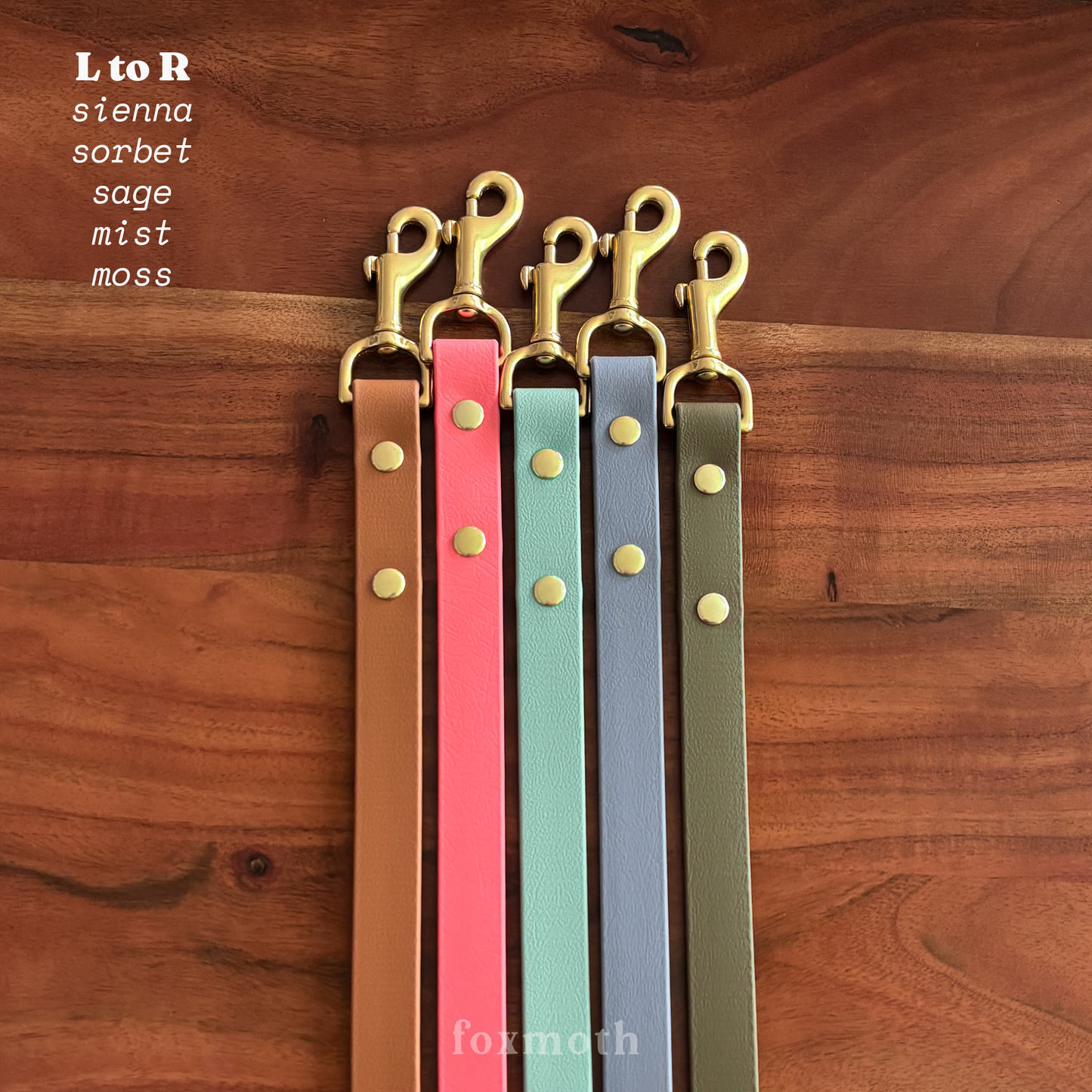 Merlot Biothane Leash [All 17+ Colors]: Merlot