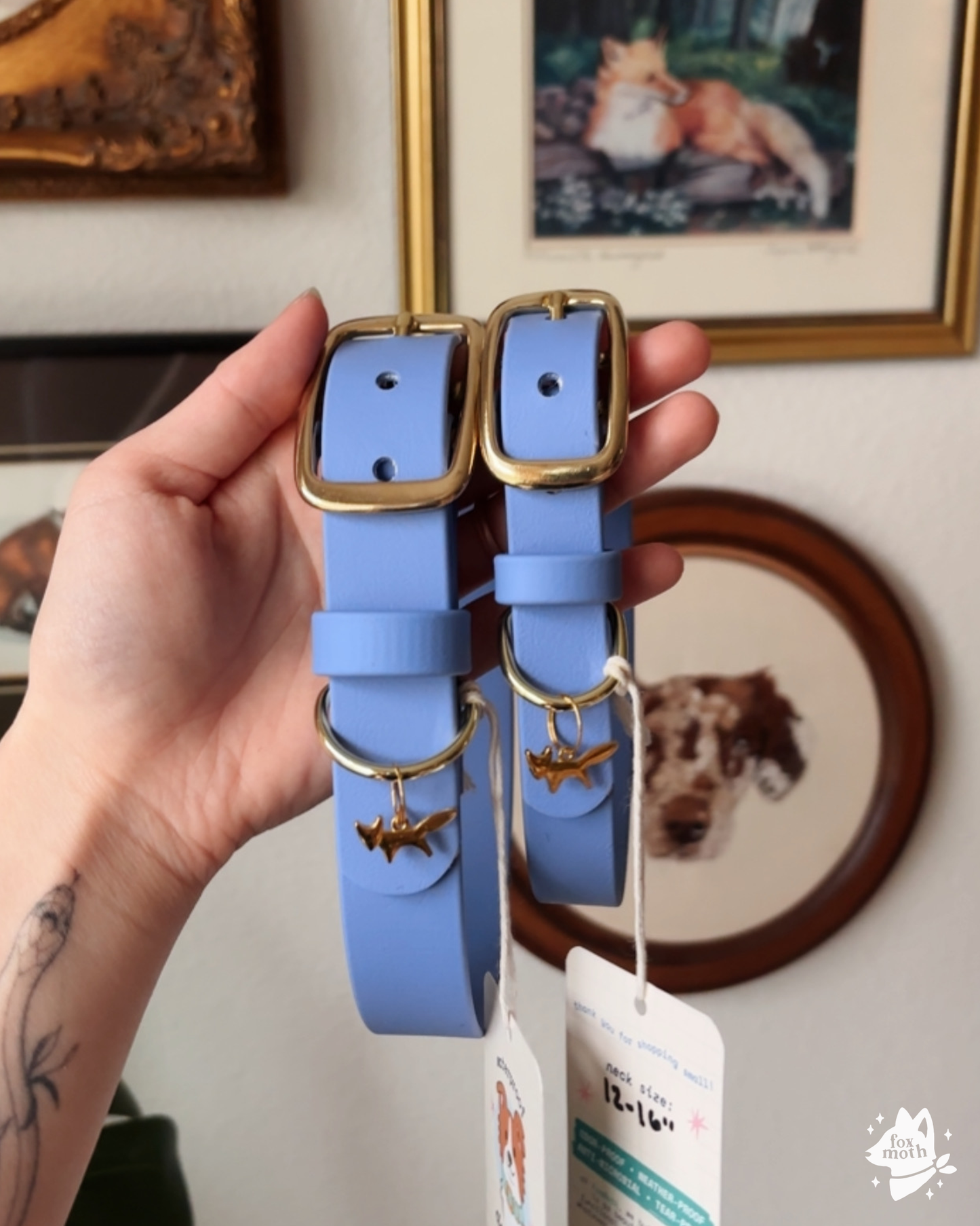 Iris Modern Biothane Collar