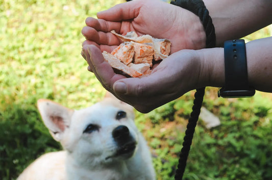 Trout Tidbits, Freeze-Dried Trout Fillet Pieces Pet Treats
