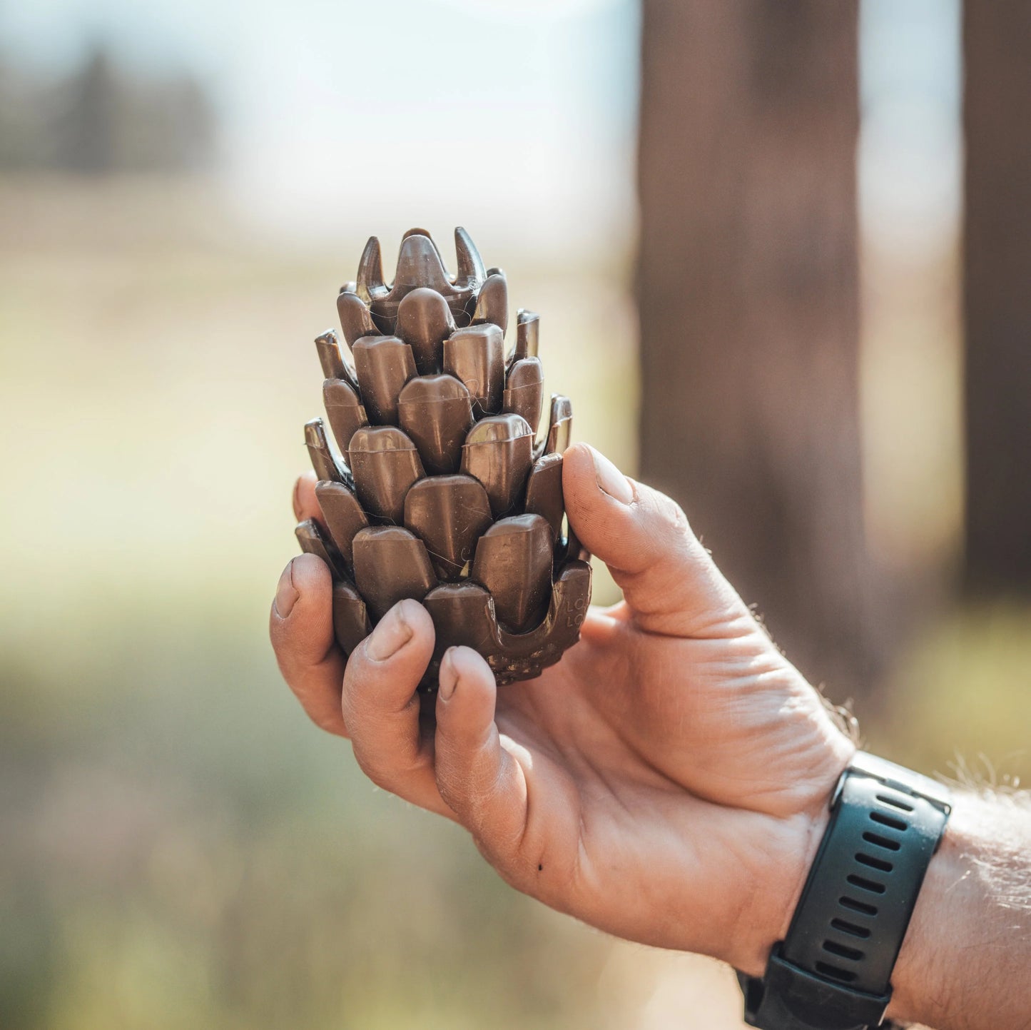 Loblolly Pinecone Puzzle Toy