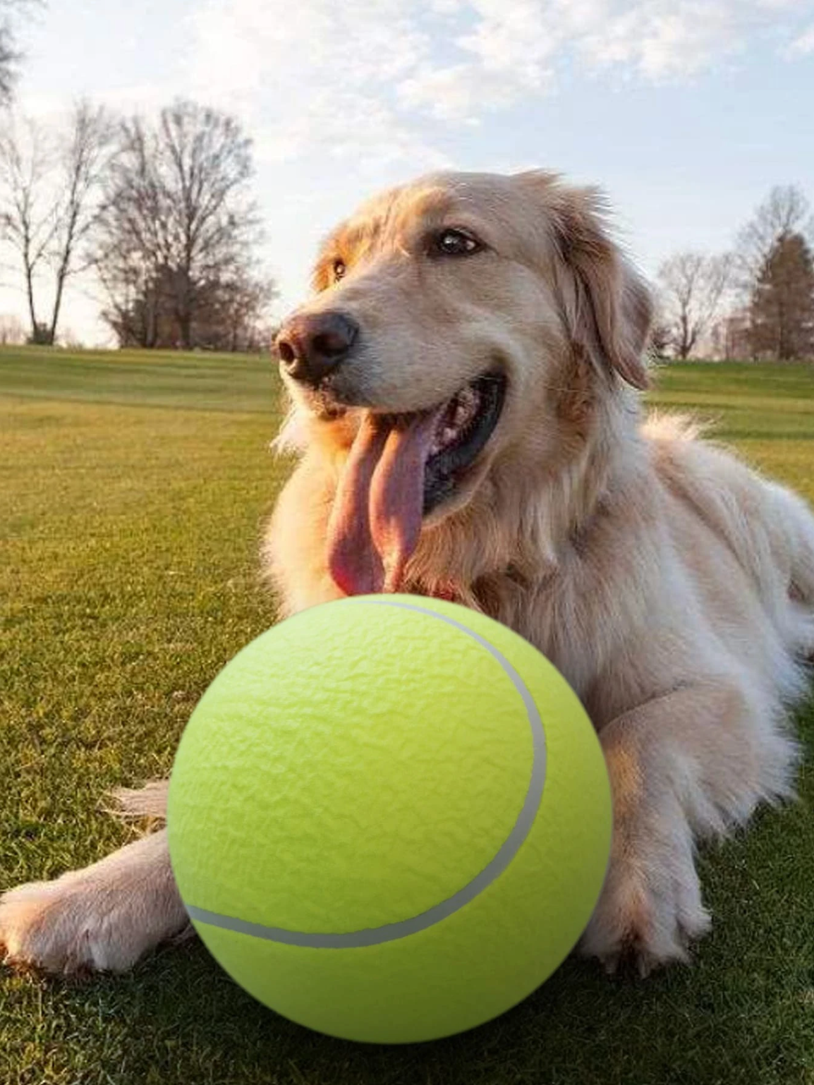 Jumbo Tennis Ball