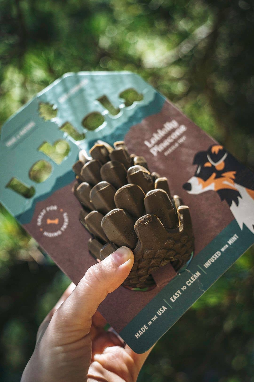 Loblolly Pinecone Puzzle Toy