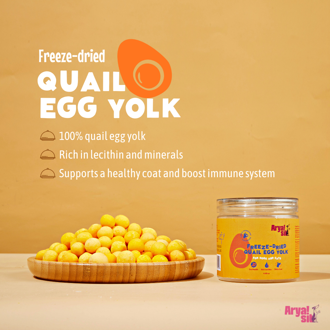 Freeze-Dried Quail Egg Yolk